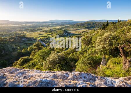 Francia,Vaucluse,riserva naturale regionale del Lubéron,Gordes,certified i più bei villaggi di Francia,agricolo di pianura ai piedi del villaggio,sullo sfondo il massiccio del Lubéron Foto Stock