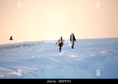 Un paio di scalatori sul vertice di Helvellyn, Lake District, Regno Unito, con un corvo. Foto Stock