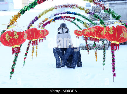 Heihe, Heihe, Cina. 24 gen 2018. Heihe, Cina-24th Gennaio 2018: i pantaloni congelato può essere visto in piedi sul campo di neve sotto il gelo di meno 38 gradi Celsius in Heihe, a nord-est della Cina di Provincia di Heilongjiang, Gennaio 24th, 2018. Credito: SIPA Asia/ZUMA filo/Alamy Live News Foto Stock