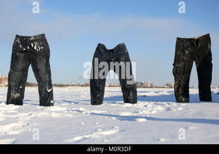 Heihe, Heihe, Cina. 24 gen 2018. Heihe, Cina-24th Gennaio 2018: i pantaloni congelato può essere visto in piedi sul campo di neve sotto il gelo di meno 38 gradi Celsius in Heihe, a nord-est della Cina di Provincia di Heilongjiang, Gennaio 24th, 2018. Credito: SIPA Asia/ZUMA filo/Alamy Live News Foto Stock