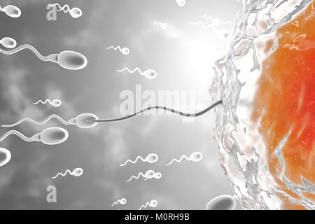 3D reso illustrazione, visualizzazione di cellule spermatiche racing ad un uovo per concimare Foto Stock
