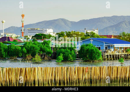 Protezione onda recinzione fatta dal secco bamboo presso la foresta di mangrovie in mare per evitare fenomeni di erosione costiera. Villaggio di Pescatori nella foresta di mangrovie di fronte al m Foto Stock