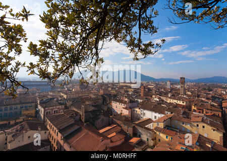 Lucca da Torre Guinigi. Punto di riferimento italiano. Vista aerea di Lucca. Foto Stock