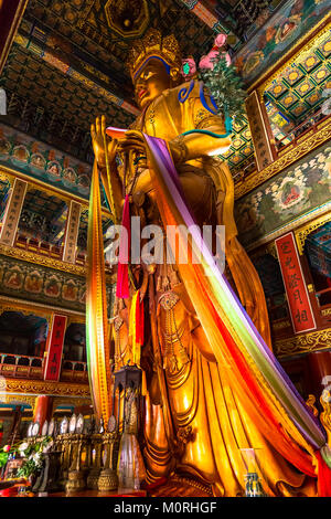 Il Pavillon di diecimila felicità in Yonghe tempio Lama a Pechino Foto Stock