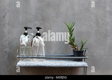 Home decor e dettagli di un boutique hotel a bagno con piccola pianta di cactus e toiletteries pentole. Foto Stock