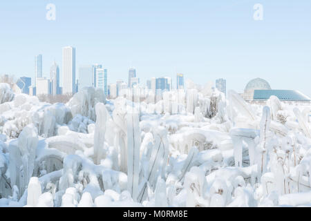 Piante congelate ricoperto di ghiaccio dal lago Michigan in Chicago Downtown, concentrarsi sulle piante Foto Stock