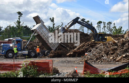 Cumuli di detriti vegetativa sono raccolti e ordinati da U.S. Esercito di ingegneri appaltatori in Puerto Rico, a sostegno dell'Uragano Maria gli sforzi di recupero. Foto Stock