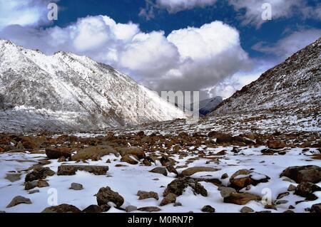 La natura al suo meglio. Ladakh uno dei più bei luoghi della terra. Foto Stock