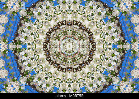 Abstract sullo sfondo di un disegno floreale di un caleidoscopio. bianco blu verde dello sfondo mandala frattali. astratta arabesque caleidoscopica. geometrica o Foto Stock