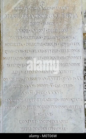 Cavriago è un comune italiano della provincia di Reggio Emilia. Conosciuta per la sua bellezza paesaggistica e i suoi monumenti storici, offre uno scorcio sul patrimonio rurale e culturale della regione Emilia-Romagna. Foto Stock