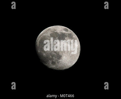 Questa fotografia, scattata con un obiettivo Canon 300mm f/4 IS e un extender 1,4x, è stata catturata a mano a Carrizo Plain, California, il 22 novembre 2007. L'immagine mostra l'uso di teleobiettivo per catturare soggetti distanti, in particolare nella fotografia di paesaggi o fauna selvatica. Foto Stock