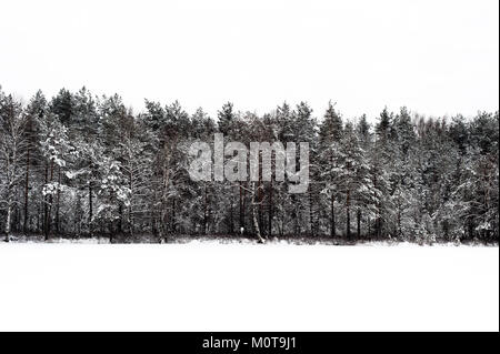 Coperta di neve alberi accanto a un lago ghiacciato in Labanoro parco regionale, della Lituania. Foto Stock