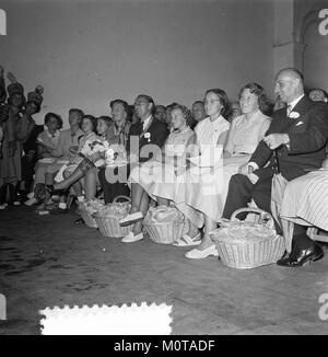 Questa immagine cattura un momento da un evento di carnevale al Palazzo Soestdijk, dove hanno partecipato i residenti del Limburgo, segnando una visita culturale e una celebrazione nei Paesi Bassi. Foto Stock
