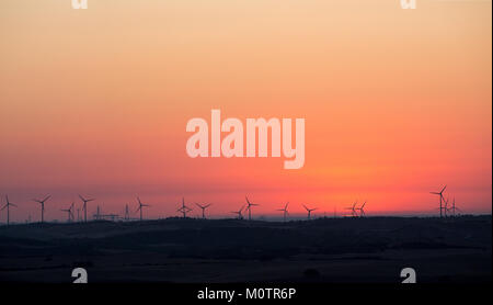 Wind Farm al tramonto in Andalusia, Spagna Foto Stock