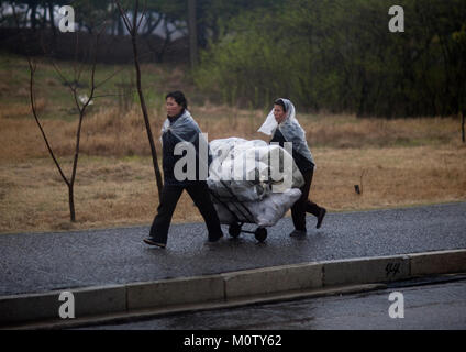 A nord le donne coreane spingendo un carrello in strada sotto la pioggia, Provincia di Pyongan, Pyongyang, Corea del Nord Foto Stock