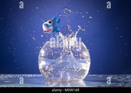 Shark salta verso l'alto da un acquario su uno sfondo blu Foto Stock