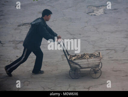 Corea del Nord uomo spingendo un carrello pieno di sassi, Nord Hamgyong Provincia, Chongjin, Corea del Nord Foto Stock