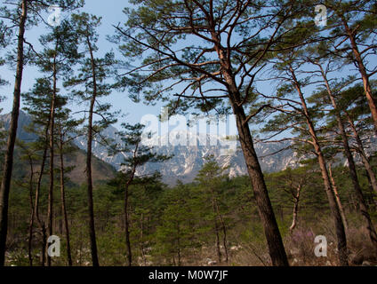 Diamond paesaggio di montagna, Kangwon-do, Mount Kumgang, Corea del Nord Foto Stock