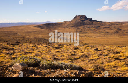 Giornata di sole nella pampa, il paesaggio e la natura della Patagonia, Argentina, Sud America Foto Stock