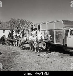 Anni '50, storico, un piccolo detentore irlandese in piedi sul retro del suo cavallo e carrello scaricare il latte dalle sue zane di latte in un furgone mobile per il latte, Irlanda. Il furgone si sposterebbe nelle zone rurali irlandesi raccogliendo il latte dai piccoli agricoltori prima di portarlo in un caseificio centrale. Foto Stock