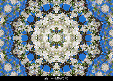 Abstract sullo sfondo di un disegno floreale di un caleidoscopio. bianco blu verde dello sfondo mandala frattali. astratta arabesque caleidoscopica. geometrica o Foto Stock