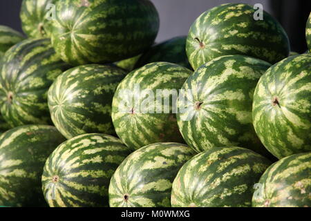 Molti grandi dolci verdi cocomeri Foto Stock