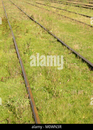Ricoperta di binari ferroviari Foto Stock