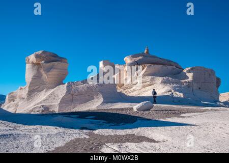 L'Argentina,Catamarca provincia,Puna desert,el Penon,Campo de Piedra Pomez Foto Stock