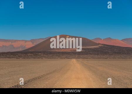 L'Argentina,Catamarca provincia,Puna desert,el Penon,Carachi Pampa vulcano Foto Stock