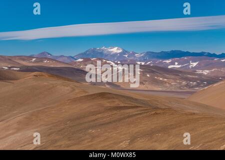 L'Argentina,Catamarca provincia,Puna desert,Chaschuil valley,route 60 tra Fiambala e Cile confine Foto Stock