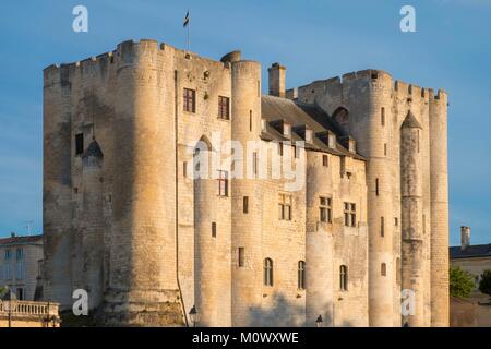 Francia,Deux Sevres,Marais Poitevin parco interregionale etichettati Grand Site de France,Niort,Le Donjon,set di romanico twin dungeons Foto Stock