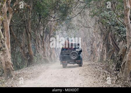 L'India,Stato di Assam,il Parco Nazionale di Kaziranga,sentiero in un tree lane,safari nel parco Foto Stock