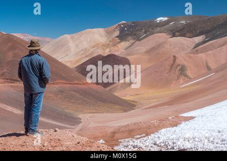 L'Argentina,La Rioja provincia,Laguna Brava Riserva Provinciale Foto Stock