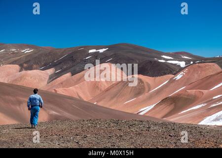 L'Argentina,La Rioja provincia,Laguna Brava Riserva Provinciale Foto Stock