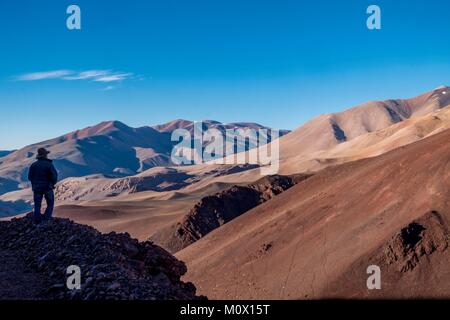 L'Argentina,La Rioja provincia,Laguna Brava Riserva Provinciale Foto Stock