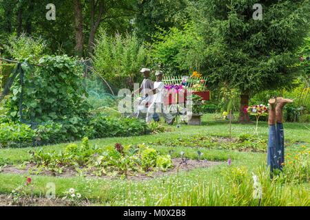 Francia,Somme,Amiens,l'hortillonnages sono vecchie paludi riempito per creare un mosaico di giardini galleggianti circondata da canali,Ile aux Fagots,paesaggio e creazioni visive durante l'arte,Città e del paesaggio festival organizzato dalla Casa della Cultura Foto Stock