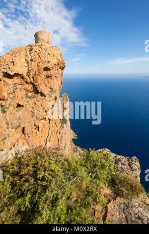 Francia,Corse du Sud,Golfo di Porto,elencati come patrimonio mondiale dall UNESCO,Capo Rosso e la torre genovese di Turghiu Turghio () Foto Stock