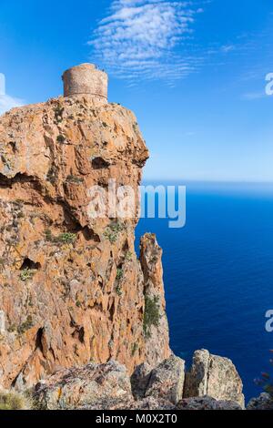 Francia,Corse du Sud,Golfo di Porto,elencati come patrimonio mondiale dall UNESCO,Capo Rosso e la torre genovese di Turghiu Turghio () Foto Stock