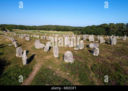 Francia,Morbihan,Carnac,fila di megalitico pietre permanente presso Kermario (vista aerea) Foto Stock