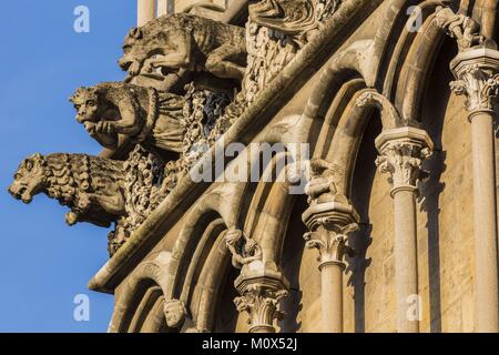 Francia,Cote d'Or,paesaggio culturale di Borgogna climi elencati come patrimonio mondiale dall UNESCO,Dijon,alla chiesa di Notre Dame,mascheroni Foto Stock