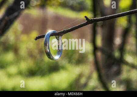 Anello in Argento appeso a un ramo con un filo di ragnatela Foto Stock