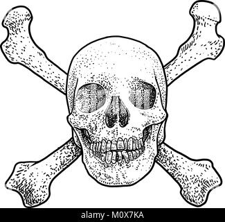 Il cranio con due ossa croce illustrazione, disegno, incisione, inchiostro, line art, vettore Illustrazione Vettoriale