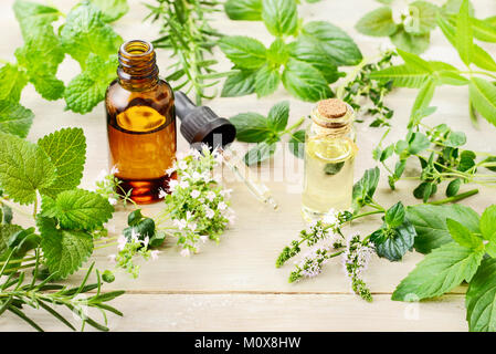 Erbe aromatiche fresche, foglie, fiori e massaggio olio su tavola di legno Foto Stock