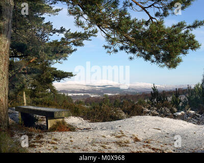 Il modo Badenoch, un sentiero escursionistico da Aviemore per Insh paludi nelle Highlands della Scozia, Inverness-shire. Banco a poggiare su, guardando a nord. Foto Stock