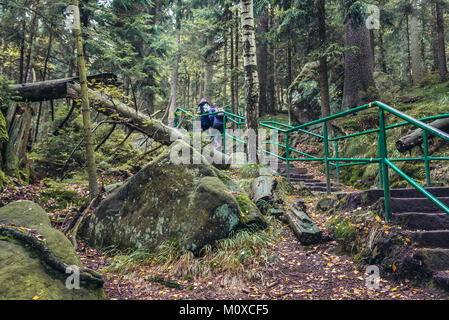 Scale su Szczeliniec Wielki, la vetta più alta delle montagne Stolowe (tabella montagne) gamma, parte dell'Sudetes, Bassa Slesia voivodato, Polonia Foto Stock