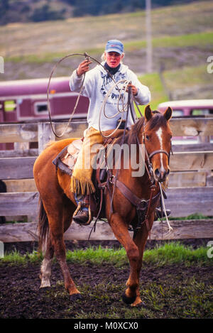 Ranch vicini con l aiuto di un allevamento bovino roundup e il branding in Sud Dakota. Foto Stock