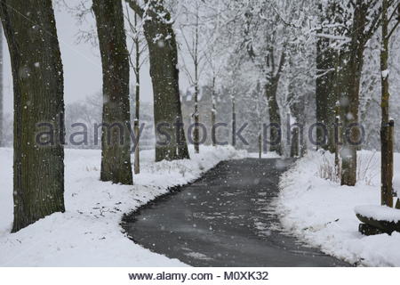 A path through snowy woods in Germany Foto Stock