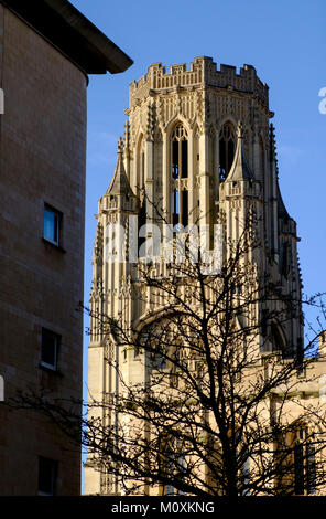 Wills Memorial Tower,l'Università di Bristol,Inghilterra Bristol REGNO UNITO Foto Stock