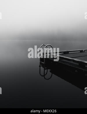 Foto in bianco e nero di una scaletta di Dock e la sua riflessione al Lago Sasamat, Vancouver, British Columbia, Canada su un nebbioso giorno con una misteriosa sensazione Foto Stock