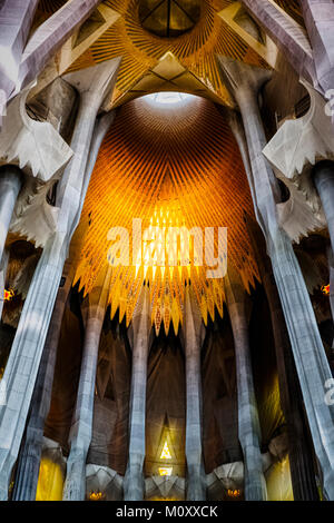 L'interno della splendida Sagrada Familia Basilica progettata da Antoni Gaudi e situato a Barcellona. Foto Stock